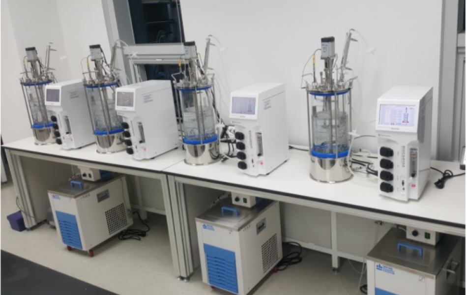 Hệ thống l&ecirc;n men 15 l&iacute;t/BIOCANVAS LF BV15L/CENTRION