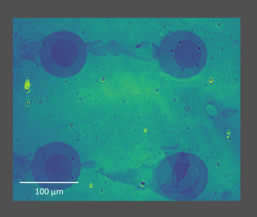 C&Ocirc;NG TY TNHH THƯƠNG MẠI V&Agrave; ĐẦU TƯ T&N
