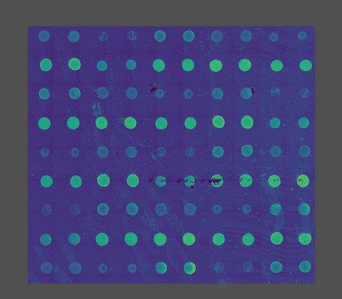 C&Ocirc;NG TY TNHH THƯƠNG MẠI V&Agrave; ĐẦU TƯ T&N