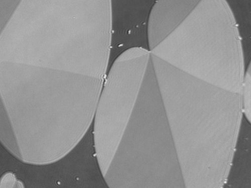 C&Ocirc;NG TY TNHH THƯƠNG MẠI V&Agrave; ĐẦU TƯ T&N