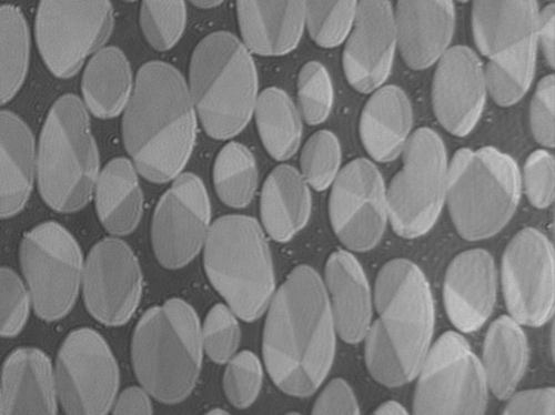 C&Ocirc;NG TY TNHH THƯƠNG MẠI V&Agrave; ĐẦU TƯ T&N